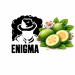 Табак Enigma Feijo (Фейхоа) 200 г 